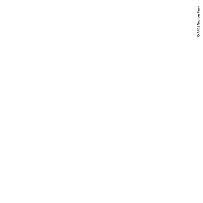 Produktionen