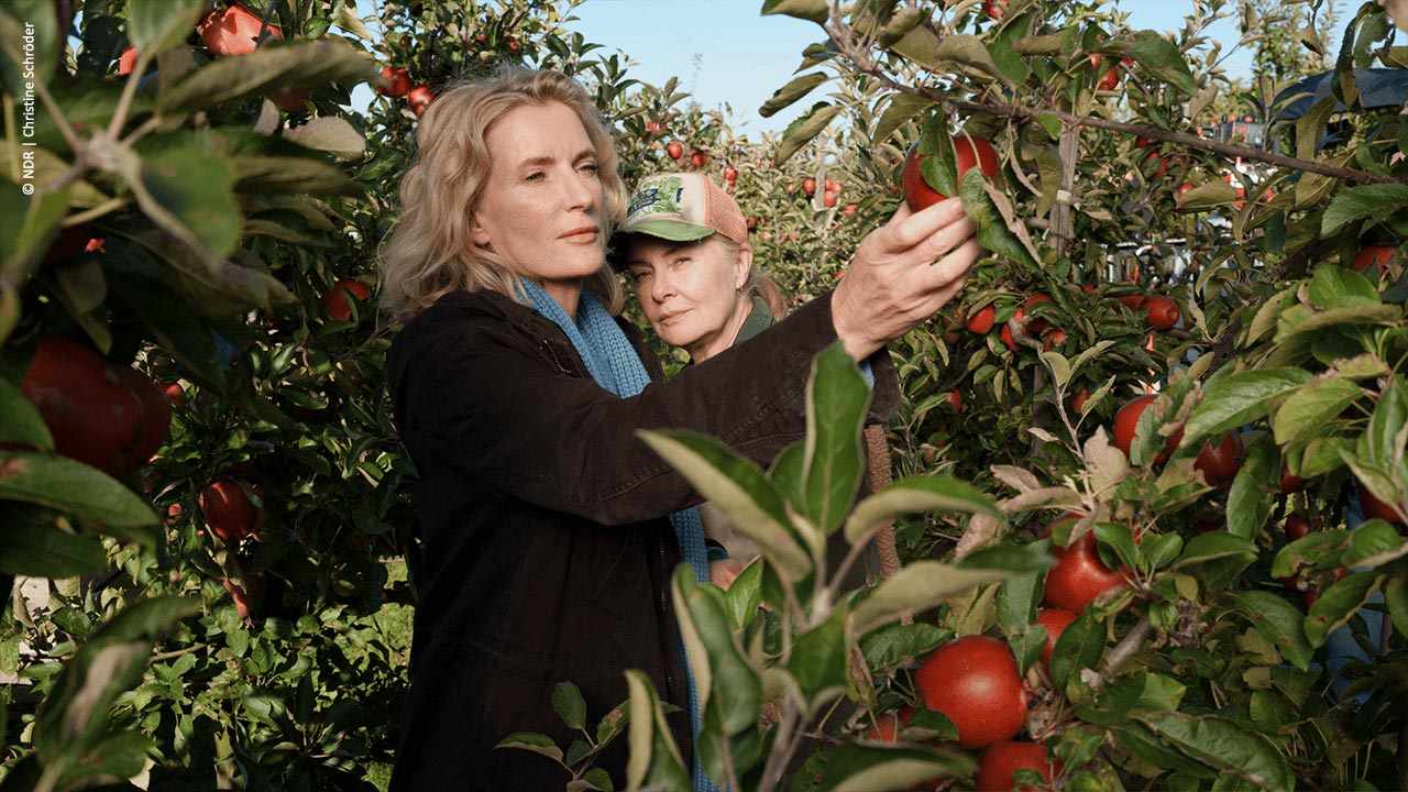Nordfilm_TatortLindholm_Letzte-Ernte_Filmfest-Oldenburg