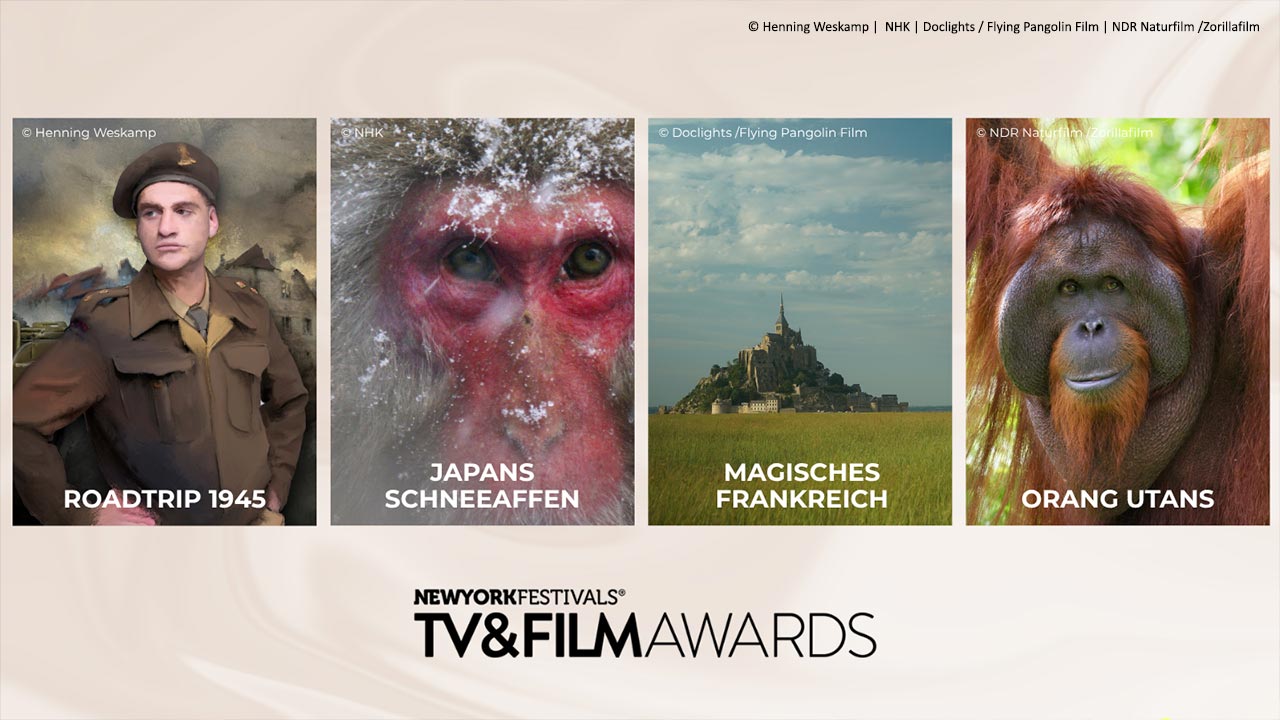 Doclights_4-Nominierungen-bei-New-york-Festivals