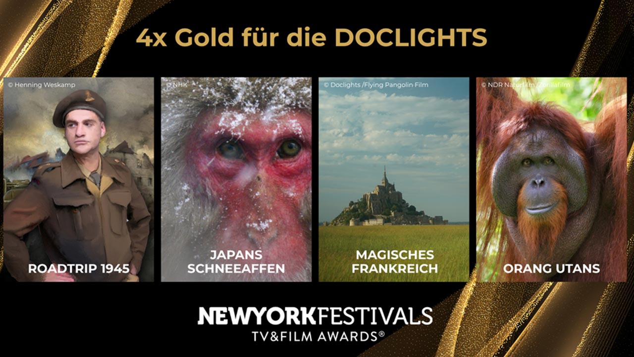Doclights_viermal-Gold-NYFestivals