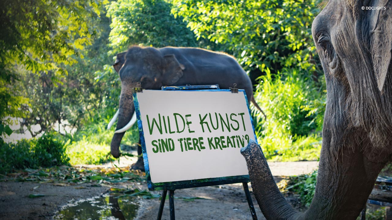 Doclights_Wild-About-Art_Wilde-Kunst_Tierfilmpreis-nominiert