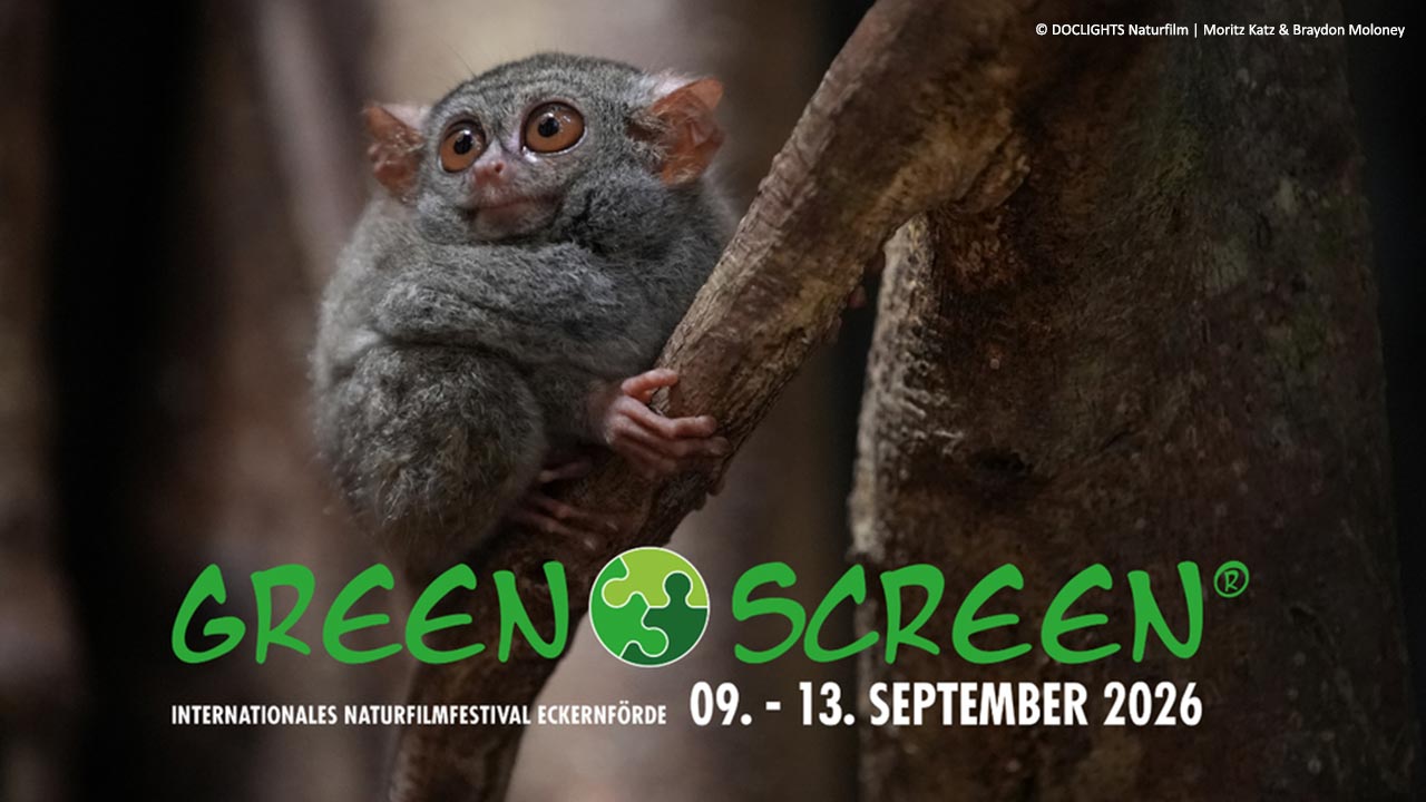 Doclights_vierAwards_Internat.NaturfilmfestivalGreenScreen
