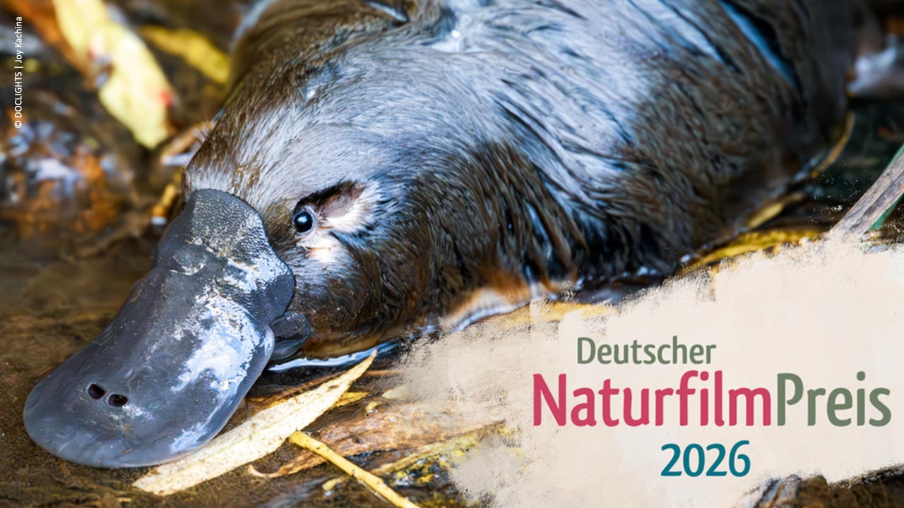 Doclights_2-Preise-beim-Deutschen-Naturfilmpreis-2026